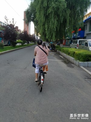 小貓咪