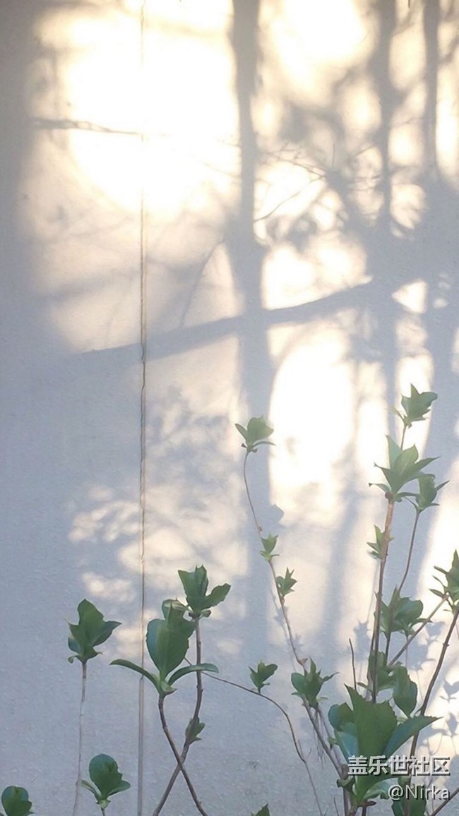 漂亮系列壁紙550dpi，現(xiàn)已打包上傳