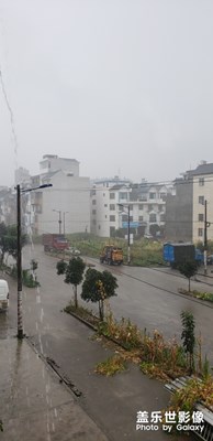 雨