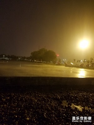 雨