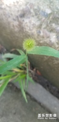 你好陽光