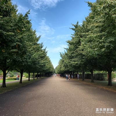 【淺秋時(shí)光】+兩個(gè)人的城市漫步