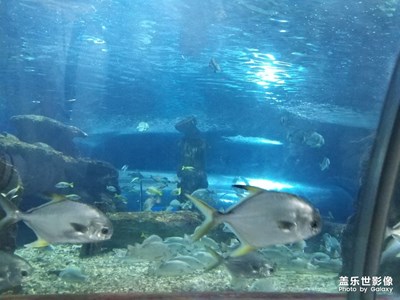 海洋世界
