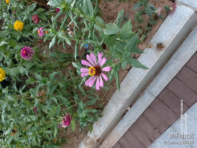 影像新勢力---炫轉(zhuǎn)三攝A80深度體驗 影像新勢力---炫轉(zhuǎn)三攝A80深度體驗