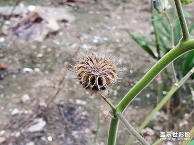 【淺秋時(shí)光】+一點(diǎn)點(diǎn)的秋意
