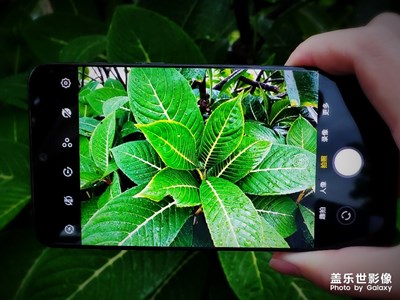暴風(fēng)雨過后