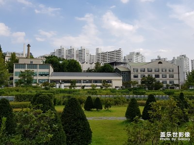 韓國回顧之-首爾行《梨花女子大學》
