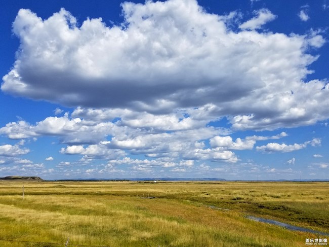 【每周星鮮事03】中秋佳節(jié)的那些故事