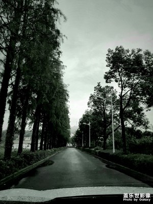 沒有色彩的世界會怎樣