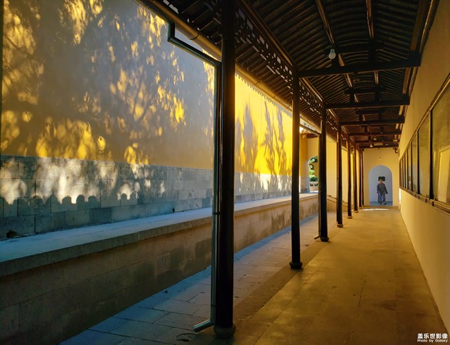 光影斑駁  歲月靜好