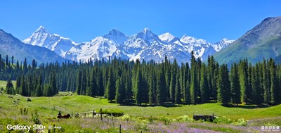 蓋樂世S10+ 尋（三）