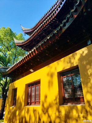 光影斑駁  歲月靜好