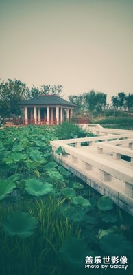 身邊風景