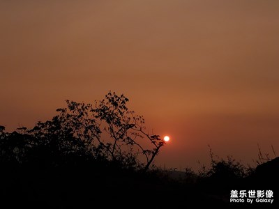 夕陽無限好
