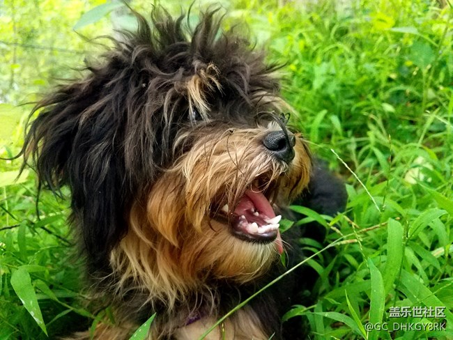 【每周星鮮事03】中秋佳節(jié)的那些故事