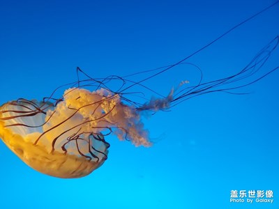 s10 +隨便一拍都這樣優(yōu)秀。