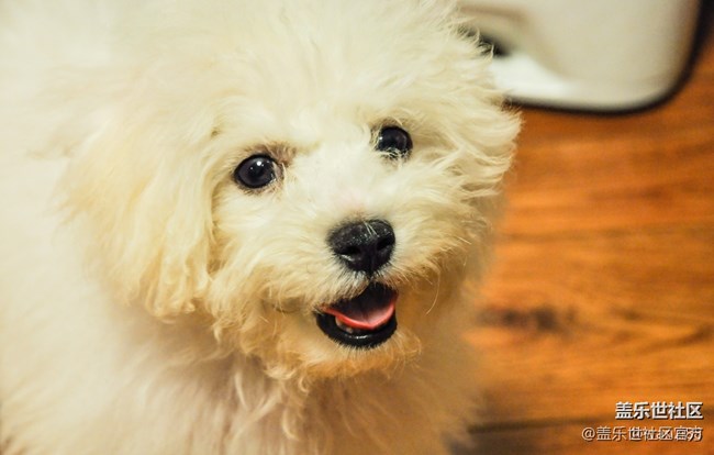 【每周星鮮事03】中秋佳節(jié)的那些故事