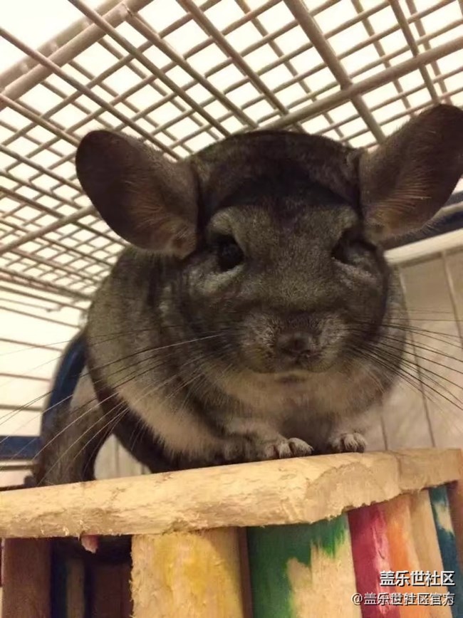 【每周星鮮事03】中秋佳節(jié)的那些故事