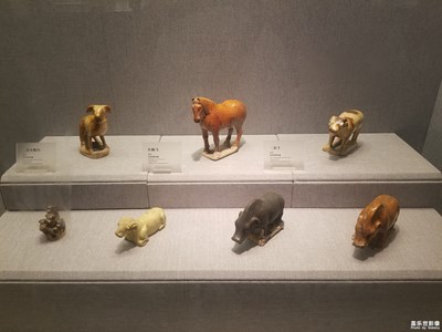 洛陽博物館之行