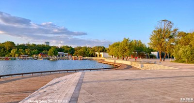 Galaxy S10+【淺秋麗影】一