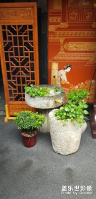 烏鎮(zhèn)，確實(shí)很美!