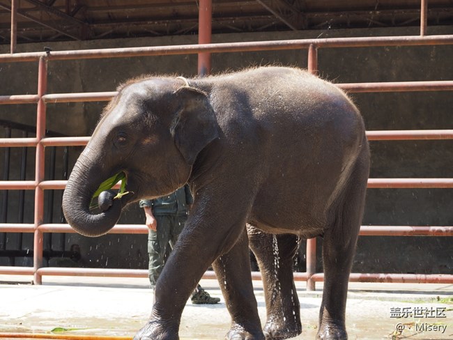 分享一些自駕游 一路上見到的照片