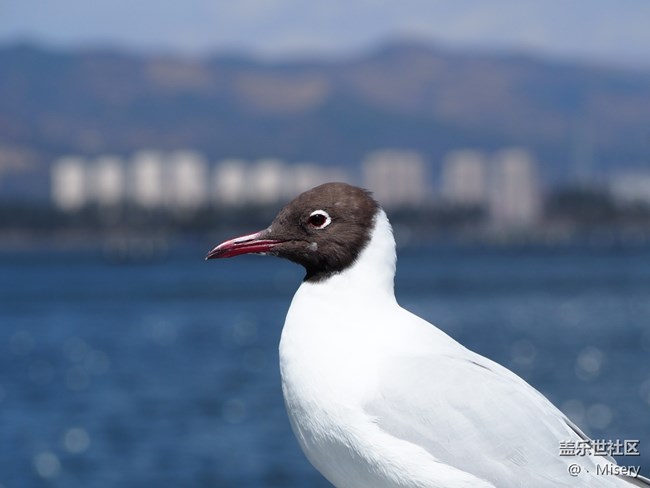 分享一些自駕游 一路上見到的照片