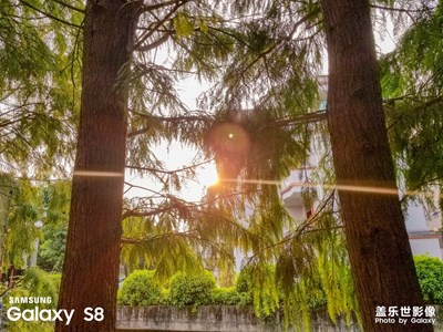 天涼好個(gè)秋