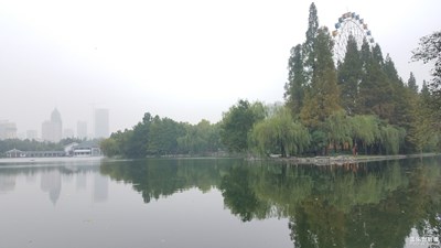 公園的水邊