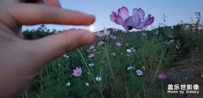 中秋