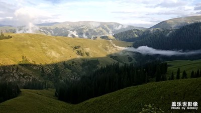 高山草甸