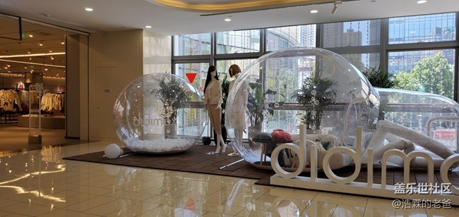 先行者，山東臨沂9月9日到貨，密斯白，拍照測試