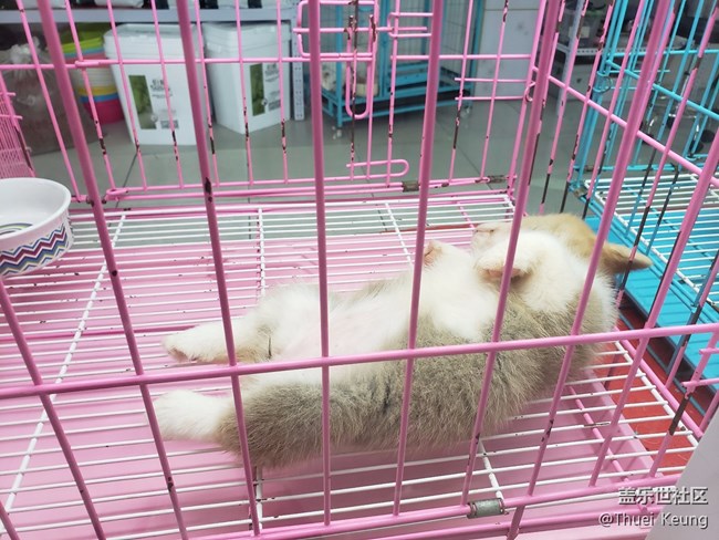 【每周星鮮事05】長(zhǎng)假將至你準(zhǔn)備好了嗎？