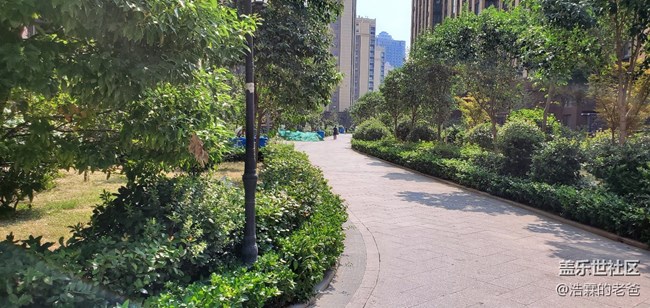 先行者，山東臨沂9月9日到貨，密斯白，拍照測試