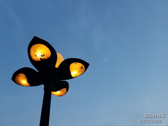 【游記分享】+洛陽游記