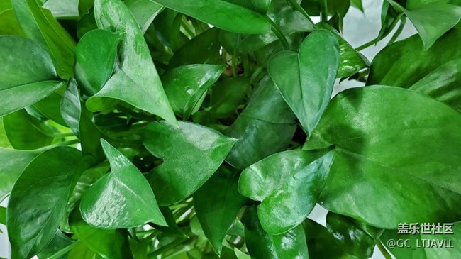 25W超級(jí)快充+3500mAh大電池，三星Galaxy Note 10全面測評(píng)