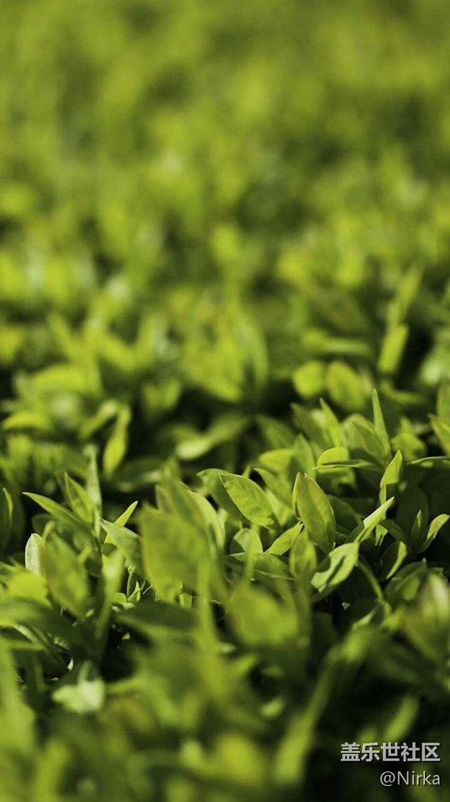 4k漂亮系列壁紙550dpi，現(xiàn)已打包上傳（44）