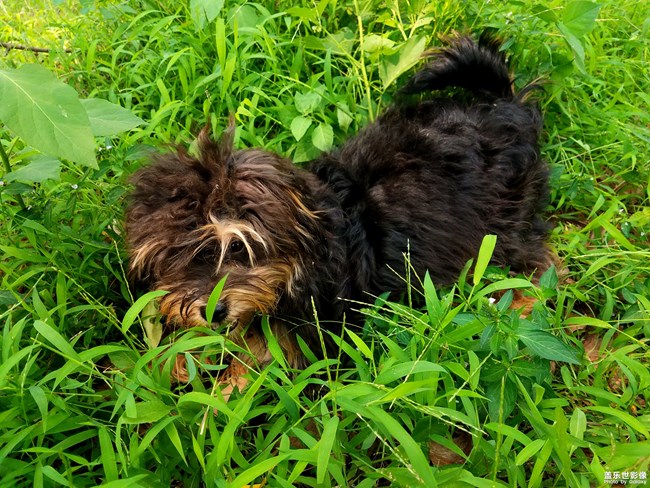 我那可愛的七月