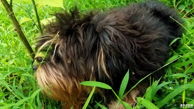 我那可愛的七月