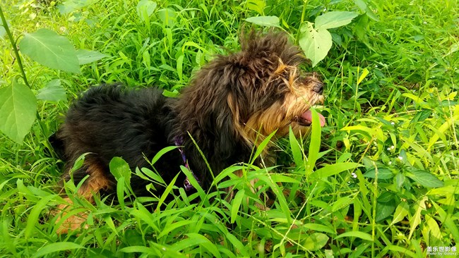 我那可愛的七月