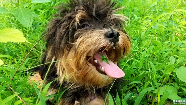 我那可愛的七月