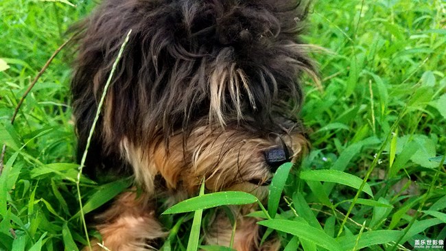 我那可愛的七月