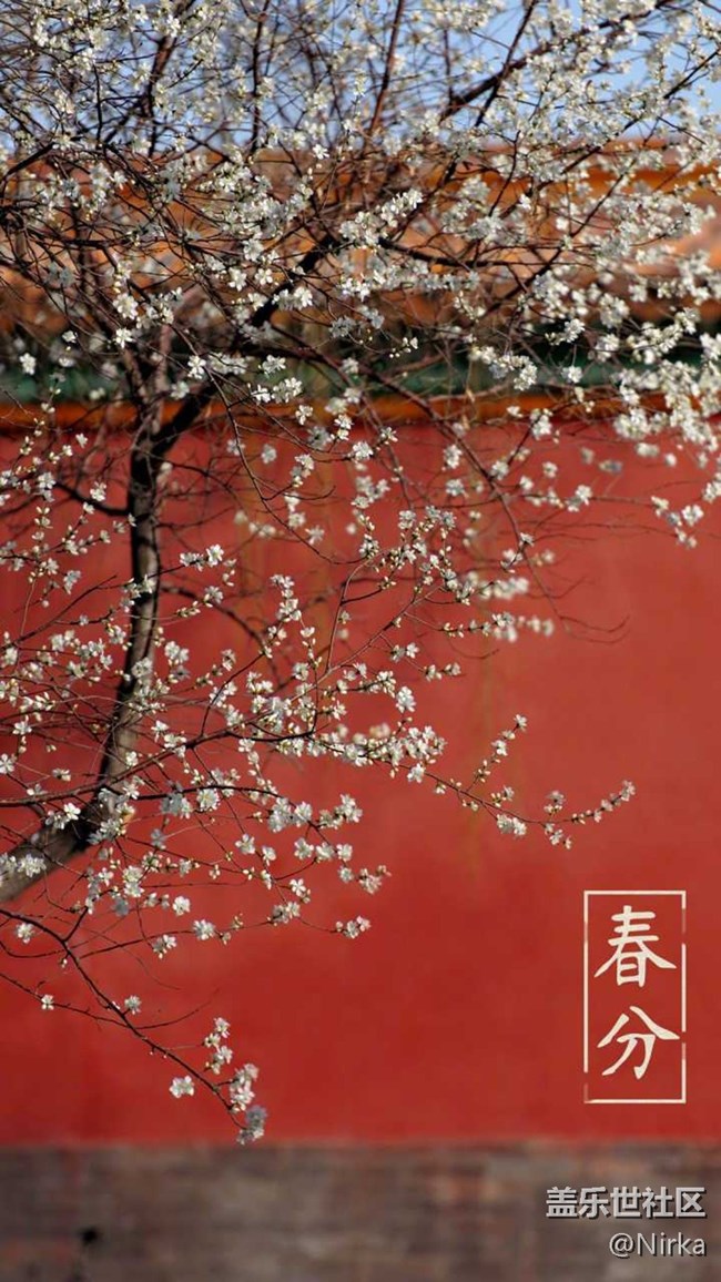 4k漂亮系列壁紙550dpi，現(xiàn)已打包上傳（43）