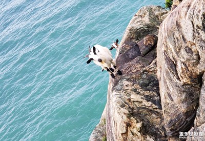 【塵安與?！繎已律系纳窖颍o修原圖）