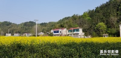 【團圓節(jié)】+月盈月缺