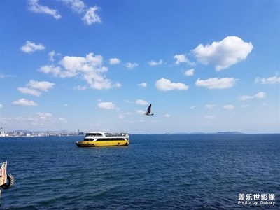 【團圓節(jié)】+土耳其買買買回來過中秋節(jié)