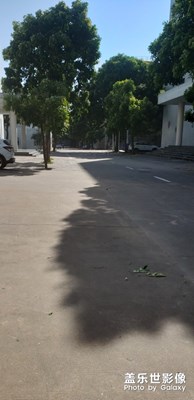 30°天氣下照出來的照片