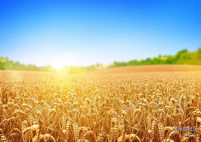 已開獎【九月第四周話題】你，收獲了什么？