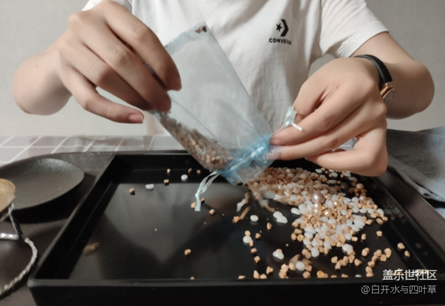 9月北京星部落線下活動——開蚌與飾品制作