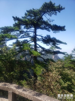 黃山